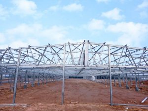 4A Cao Ngoc high-tech chicken farm_5
